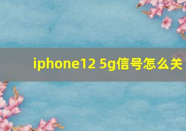 iphone12 5g信号怎么关